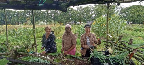 prei schoonmaken aug 2023 - foto Emiel